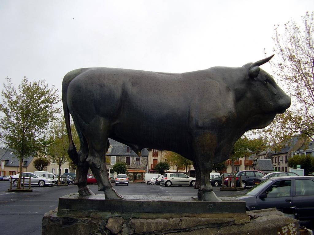 Vvf Aubrac Hotel Chaudes-Aigues Buitenkant foto