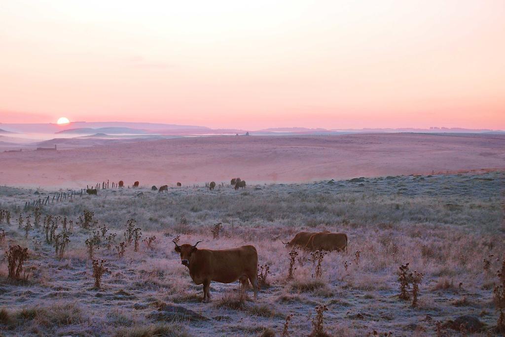 Vvf Aubrac Hotel Chaudes-Aigues Buitenkant foto
